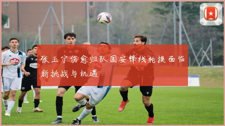 张玉宁伤愈归队国安锋线轮换面临新挑战与机遇